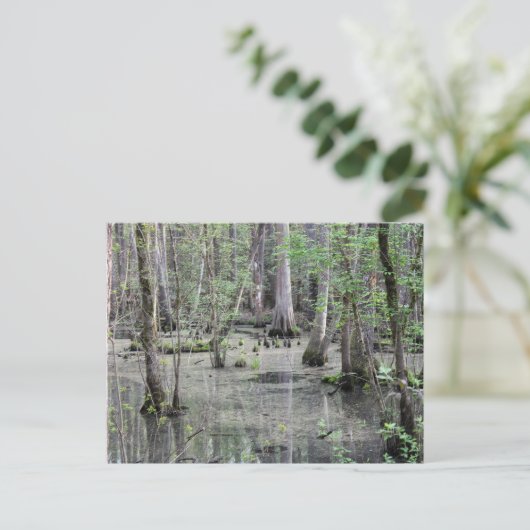 Great Braided Swamp Briefkaart (Staand voorkant)