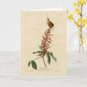 Great Carolina Wren - Audubon's Birds of America Kaart (Gele Bloem)