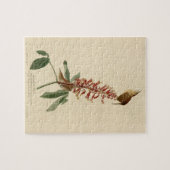 Great Carolina Wren - Audubon's Birds of America Legpuzzel (Horizontaal)