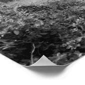 Great Chimney House Poster (Hoek)