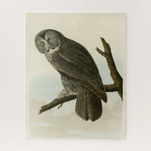 Great Cinereous Owl from Audubon Birds of America Legpuzzel