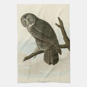 Great Cinereous Owl from Audubon Birds of America Theedoek