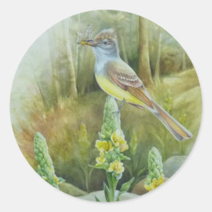 Great Crested Flycatcher Vogel Waterverf Kunst Ronde Sticker