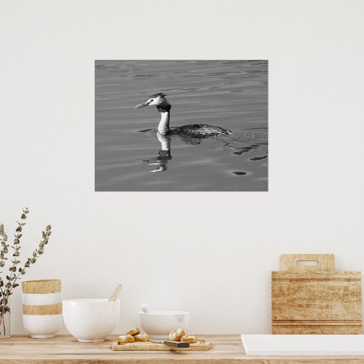Great Crested Grebe-Poster Poster (Keuken)