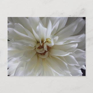 Great Dahlia 1 - opgeleide brainfart Briefkaart