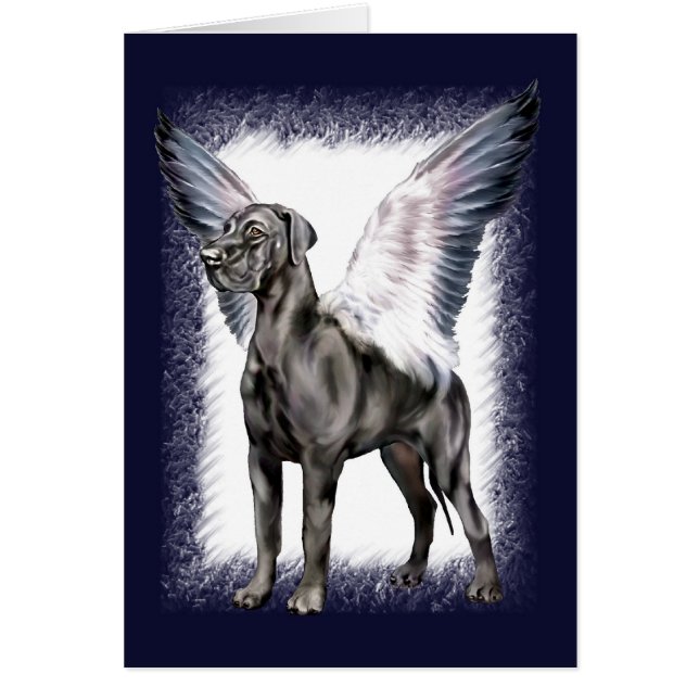 Great Dane Angel Black UC (Voorkant)
