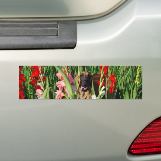 Great Dane auto sticker  (Op auto)