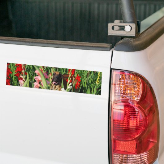 Great Dane auto sticker (Op Truck)