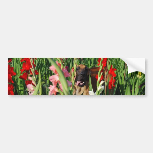 Great Dane auto sticker  (Voorkant)