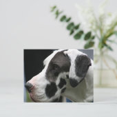 Great dane briefkaart (Staand voorkant)