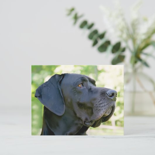 Great Dane Briefkaart (Staand voorkant)