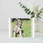 Great Dane Briefkaart (Staand voorkant)