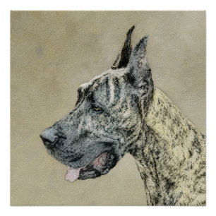 Great Dane (Brindle) schilderen - Oorspronkelijke  Perfect Poster