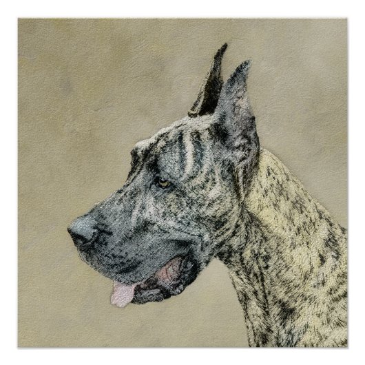 Great Dane (Brindle) schilderen - Oorspronkelijke  Perfect Poster (Voorkant)