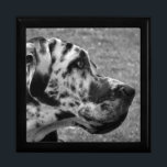 GREAT DANE CADEAUDOOSJE<br><div class="desc">Een mooi zwart-wit ontwerp van een Great Dane hond. Engeland.</div>