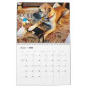 Great Dane Calendar "relaxing through the house" Kalender (Mar 2026)