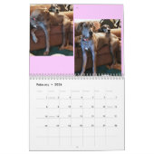 Great Dane Calendar "relaxing through the house" Kalender (Feb 2026)