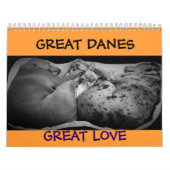 Great Dane Calendar "relaxing through the house" Kalender (Hoes)