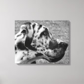 GREAT DANE CANVAS AFDRUK (Voorkant)
