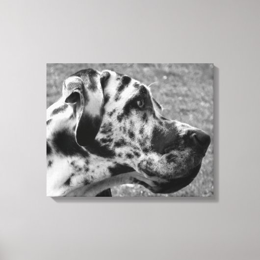 GREAT DANE CANVAS AFDRUK (Voorkant)