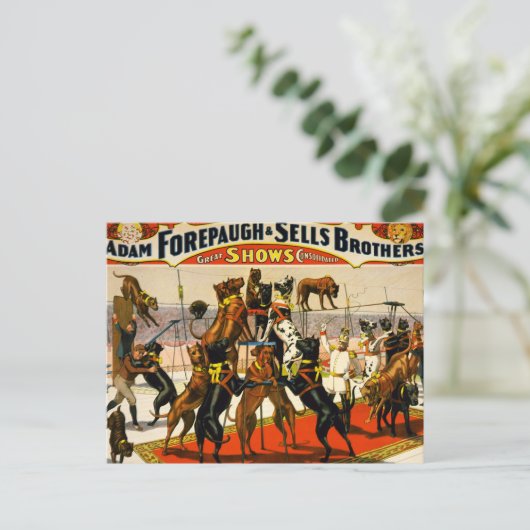 Great Dane Circus Show Briefkaart (Staand voorkant)