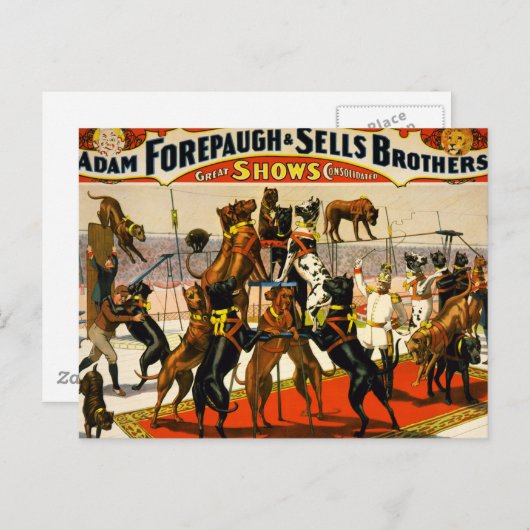 Great Dane Circus Show Briefkaart (Voorkant / Achterkant)