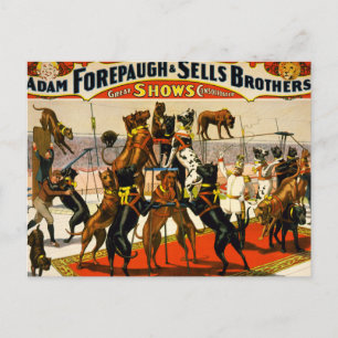 Great Dane Circus Show Briefkaart