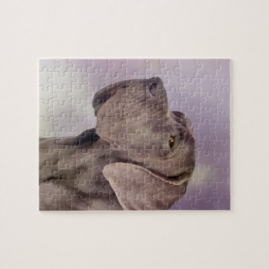 Great Dane - Deutsche Dogge Legpuzzel (Horizontaal)