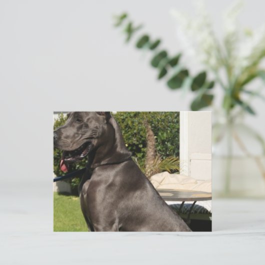 Great Dane Dog Briefkaart (Staand voorkant)