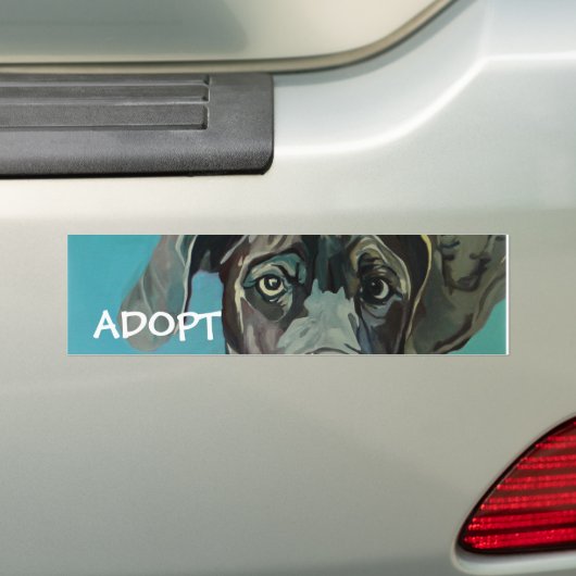 Great Dane Dog Bumpersticker (Op auto)