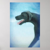 Great Dane Dog DOG BEACH Poster (Voorkant)