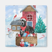 Great Dane Dog in het sneeuwbalhuis Magneet (Voorkant)