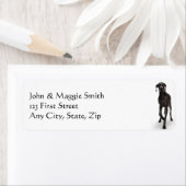 Great Dane Dog Pet Animal Etiket (Insitu)