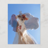 Great Dane Dog Trainer Flyer (Achterkant)