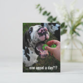Great Dane Dokter Briefkaart (Staand voorkant)