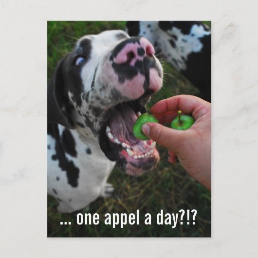 Great Dane Dokter Briefkaart (Voorkant)