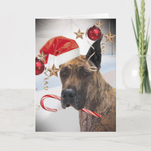 GREAT DANE DRAAGT HET PET VAN DE KERSTMAN OP OOR FEESTDAGEN KAART