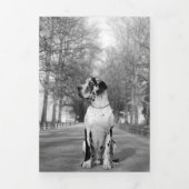 Great Dane eindejaarskaarten Drieluik Wenskaart (Cover)