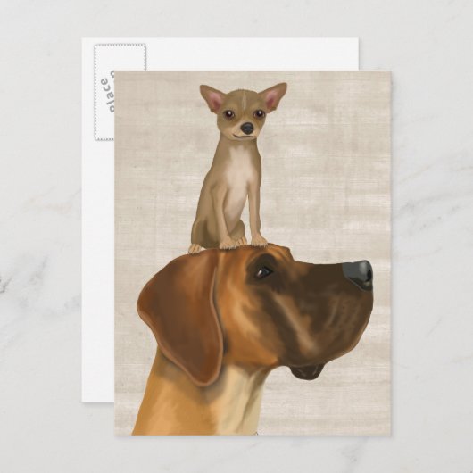 Great Dane en Chihuahua 2 Briefkaart (Voorkant / Achterkant)