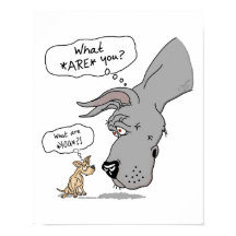 Great Dane en Chihuahua Blue