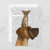 Great Dane en Chihuahua Briefkaart (Voorkant / Achterkant)