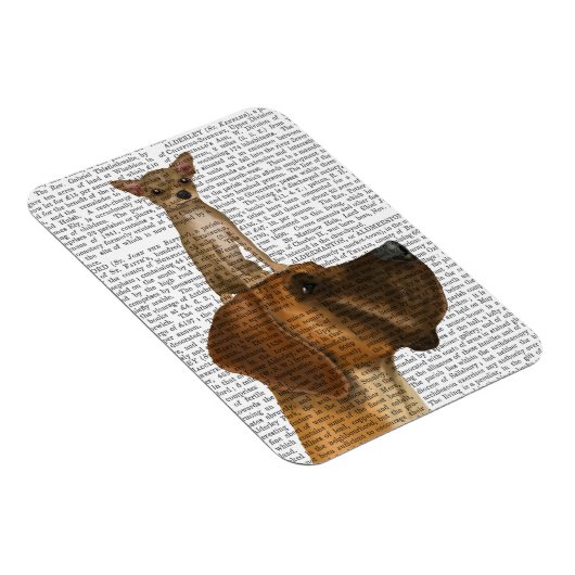 Great Dane en Chihuahua Magneet (Rechterzijde)