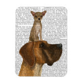 Great Dane en Chihuahua Magneet (Verticaal)