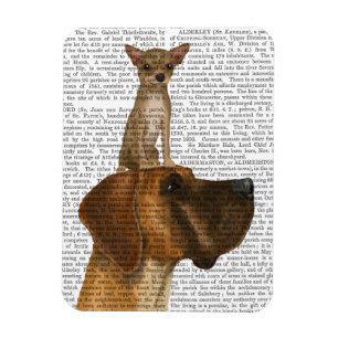 Great Dane en Chihuahua Magneet