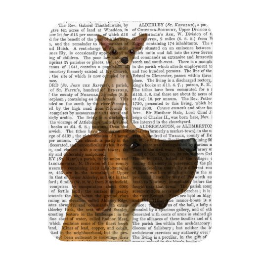 Great Dane en Chihuahua Magneet (Verticaal)