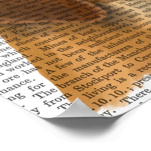 Great Dane en Chihuahua Poster (Hoek)