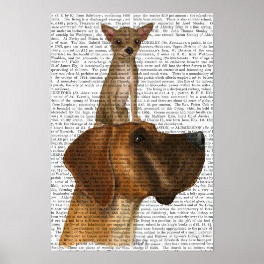 Great Dane en Chihuahua Poster (Voorkant)