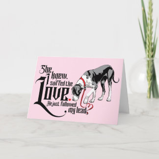 Great Dane en haar bewijs, liefde is er