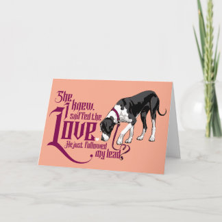 Great Dane en haar bewijs, liefde is er