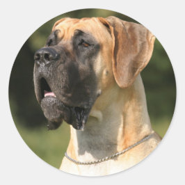 Great Dane - fawn / Deutsche Dogge - gelb Ronde Sticker